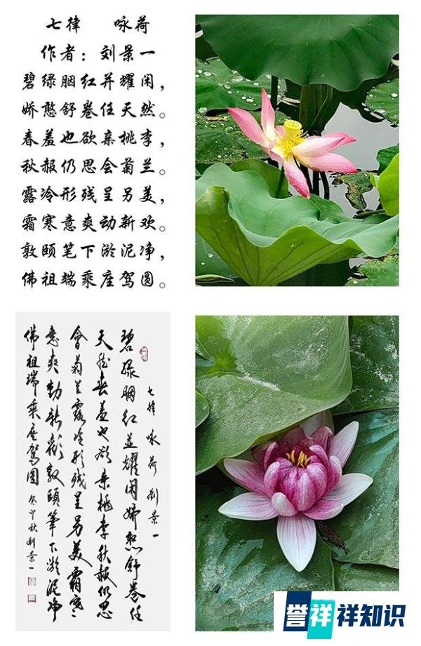 首批非遗大国工匠—刘景一