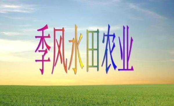 季风水田农业的特点是什么 季风水田农业成因