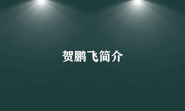 贺鹏飞简介