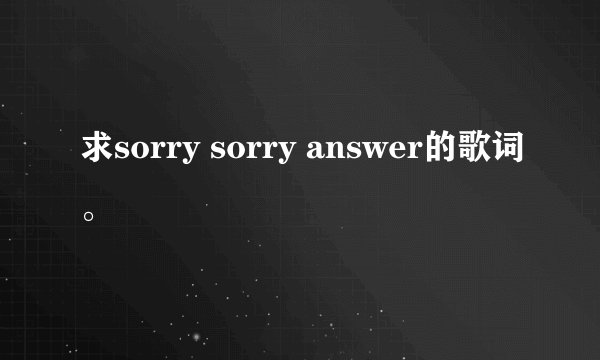 求sorry sorry answer的歌词。