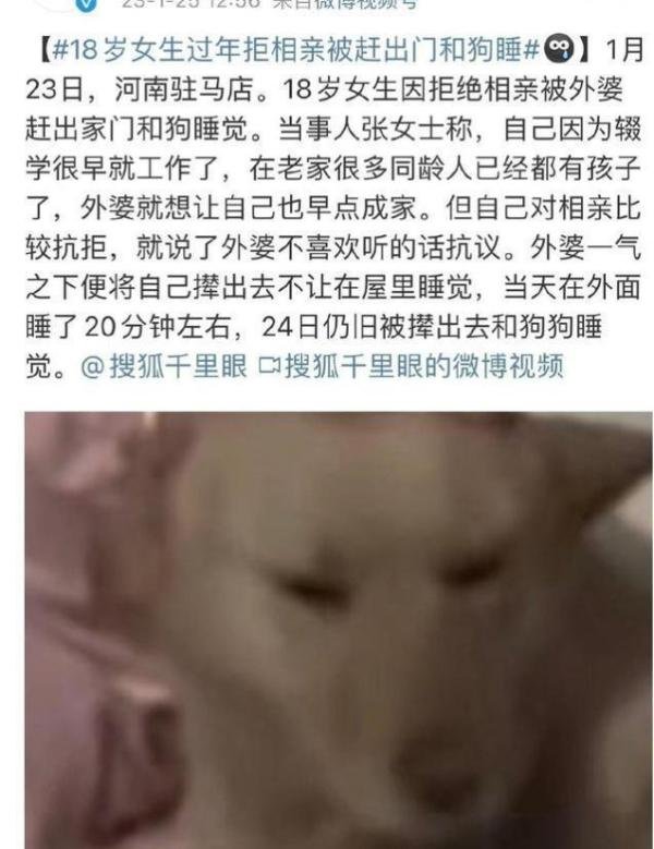 十八岁女生拒绝相亲，过年被赶出家门和狗狗睡