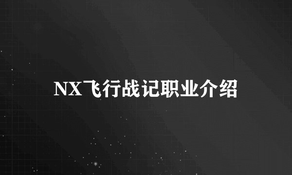 NX飞行战记职业介绍