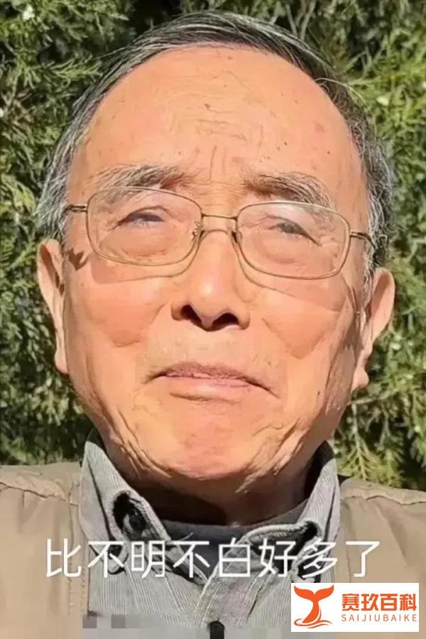 可怜的朱父，苍白的正义
