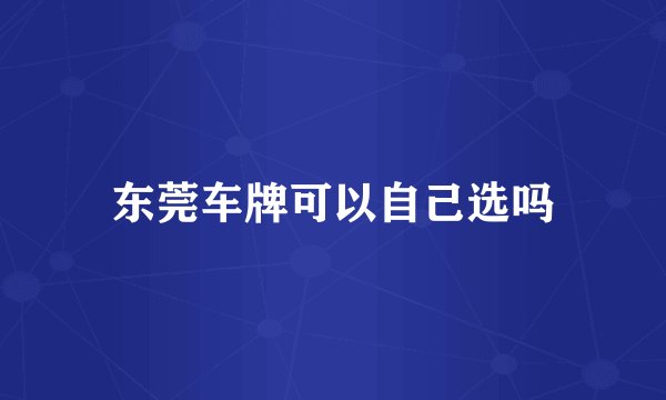 东莞车牌可以自己选吗
