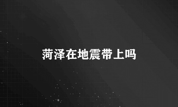 菏泽在地震带上吗