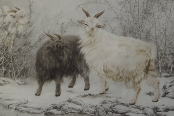 马上观花十二朵是什么生肖