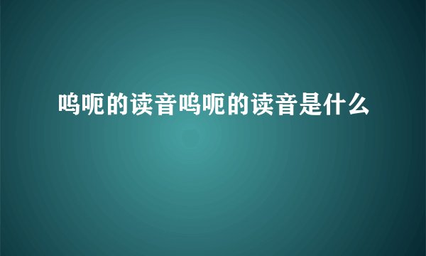 呜呃的读音呜呃的读音是什么