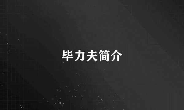 毕力夫简介