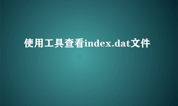 使用工具查看index.dat文件