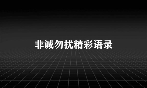 非诚勿扰精彩语录