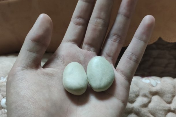 换蛋期是什么意思