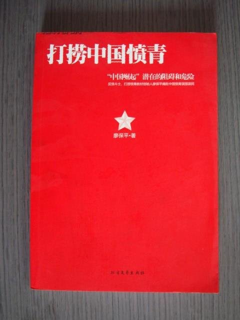 打捞中国愤青的图书目录