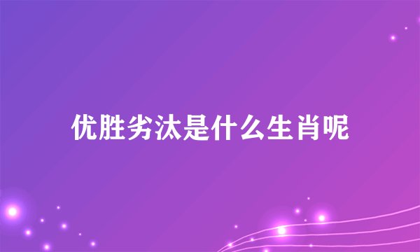 优胜劣汰是什么生肖呢