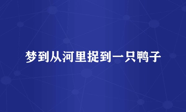 梦到从河里捉到一只鸭子