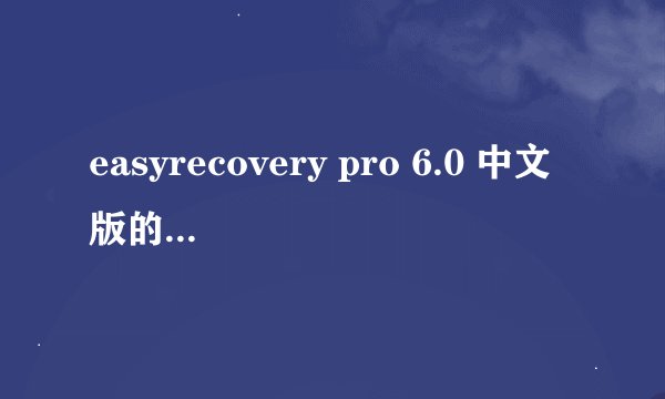 easyrecovery pro 6.0 中文版的软件介绍