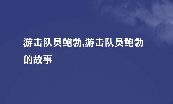 游击队员鲍勃,游击队员鲍勃的故事