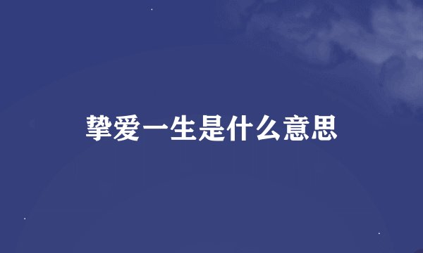 挚爱一生是什么意思