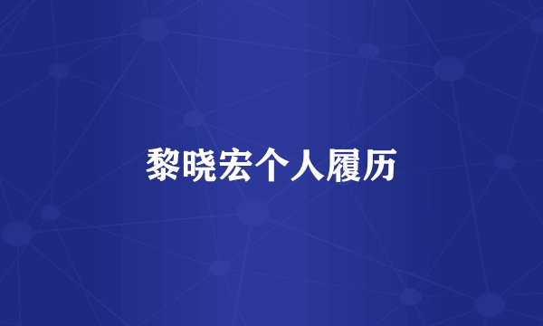 黎晓宏个人履历