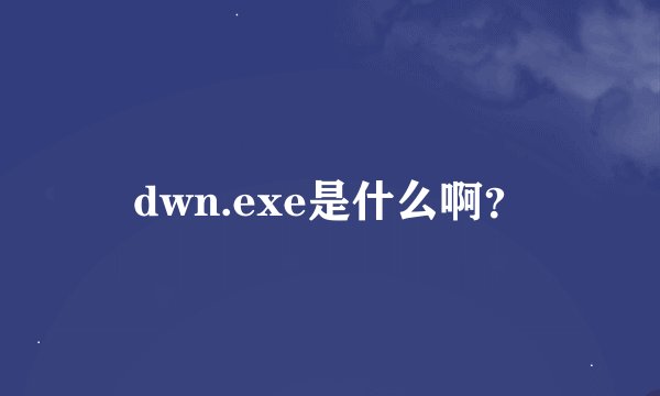 dwn.exe是什么啊？