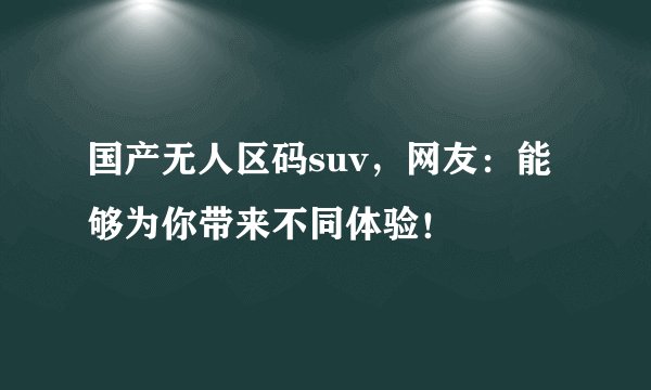 国产无人区码suv，网友：能够为你带来不同体验！
