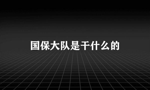 国保大队是干什么的