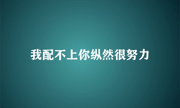 我配不上你纵然很努力