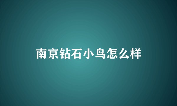 南京钻石小鸟怎么样