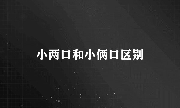 小两口和小俩口区别