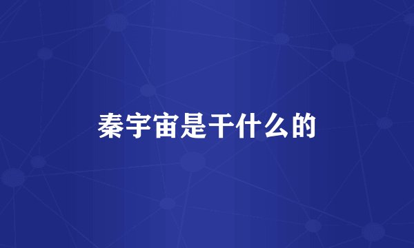 秦宇宙是干什么的