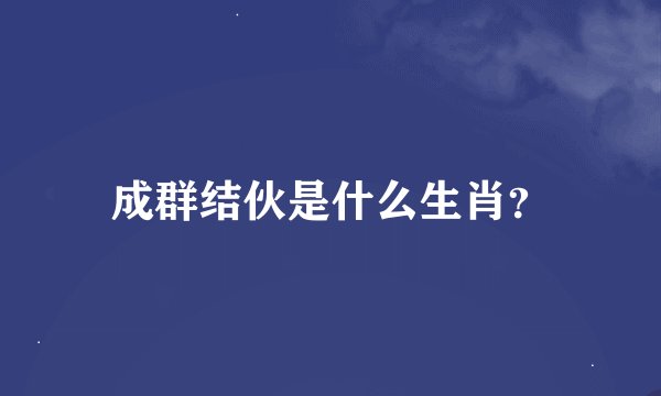 成群结伙是什么生肖？