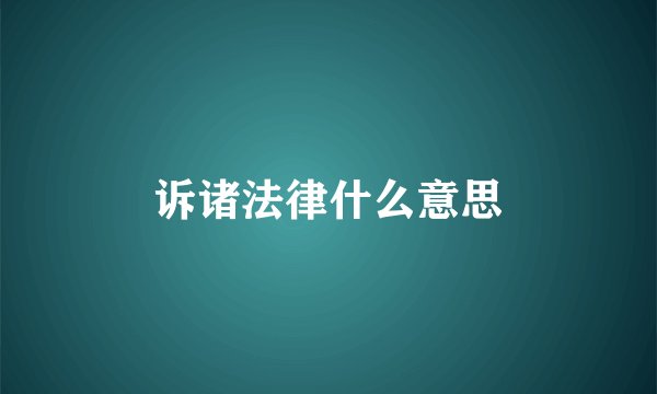 诉诸法律什么意思