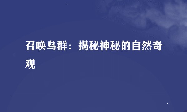 召唤鸟群：揭秘神秘的自然奇观