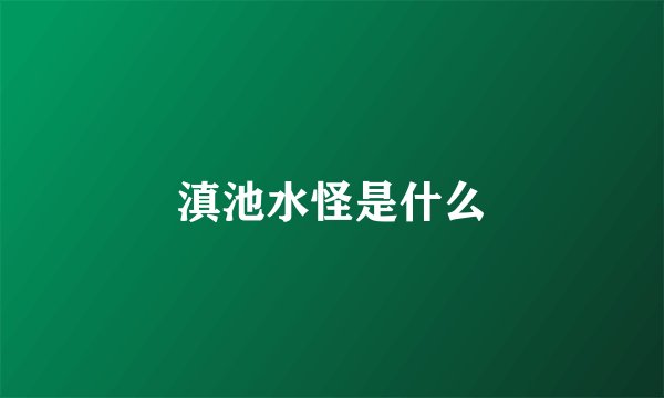 滇池水怪是什么