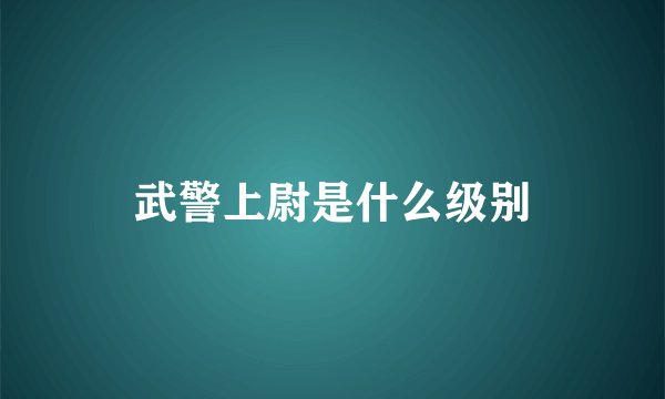 武警上尉是什么级别