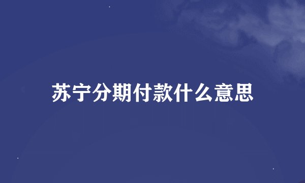 苏宁分期付款什么意思