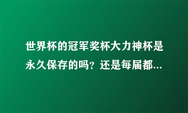 世界杯的冠军奖杯大力神杯是永久保存的吗？还是每届都要归还？
