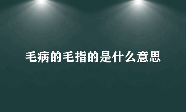 毛病的毛指的是什么意思