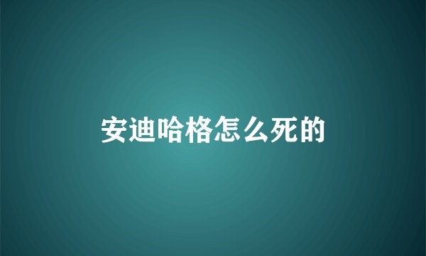 安迪哈格怎么死的