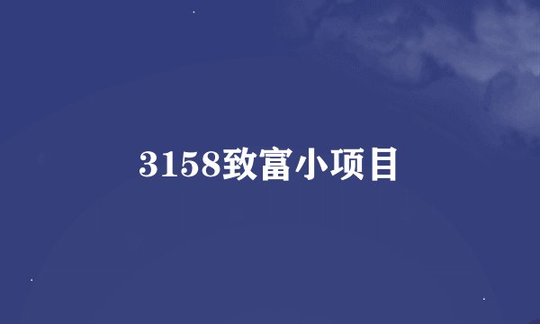 3158致富小项目