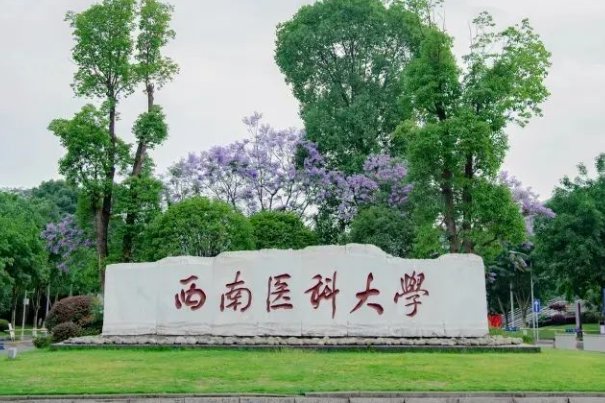 西南医科大学2023年录取分数线