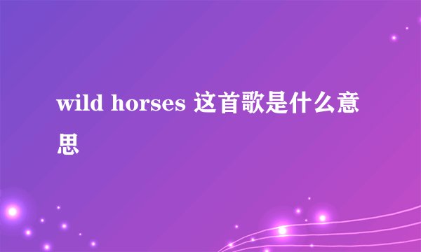 wild horses 这首歌是什么意思