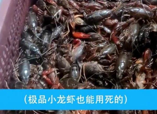 武汉一知名虾店用黑油死虾 网友:这种黑心商家要罚到它破产