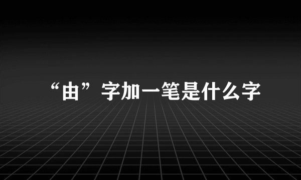 “由”字加一笔是什么字