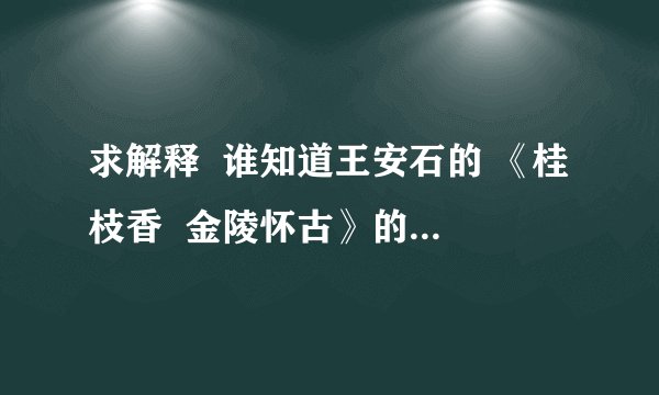 求解释  谁知道王安石的 《桂枝香  金陵怀古》的译文  谢谢