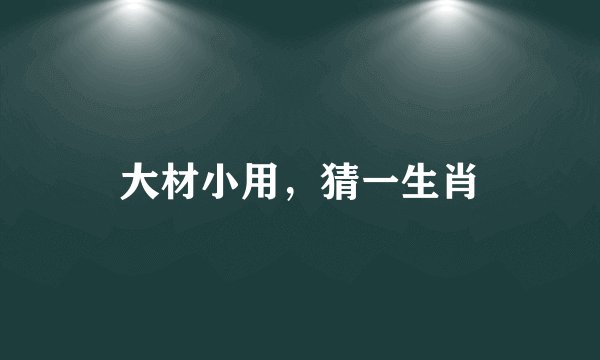 大材小用，猜一生肖