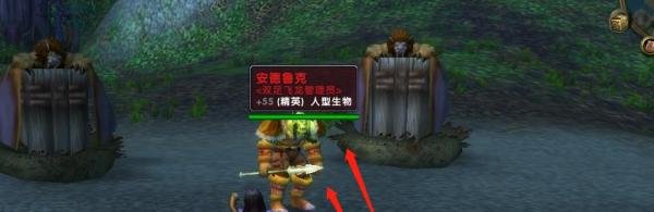 魔兽世界怀旧服灰谷的飞行鸟点在哪里？