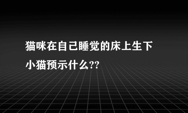 猫咪在自己睡觉的床上生下 小猫预示什么??