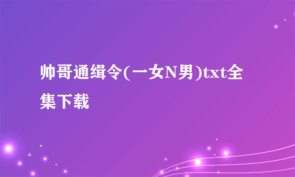 帅哥通缉令(一女N男)txt全集下载