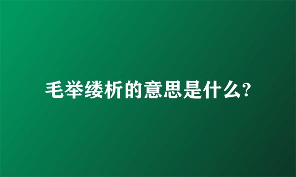 毛举缕析的意思是什么?