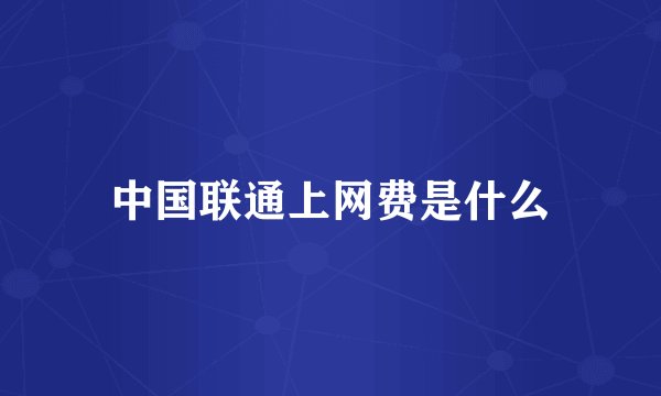 中国联通上网费是什么